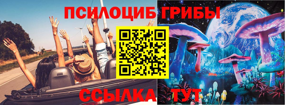 Галлюциногенные грибы мицелий Удомля