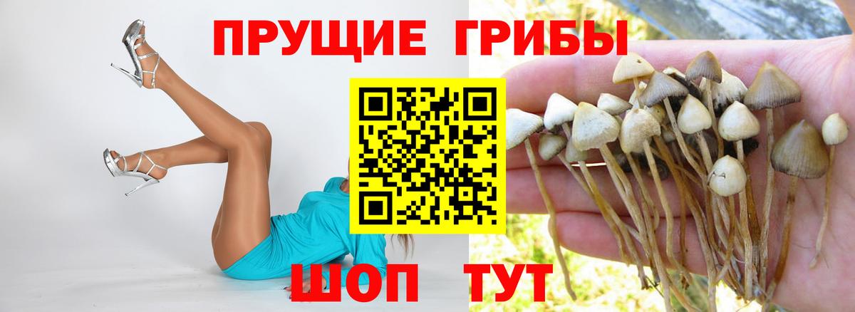 Галлюциногенные грибы Psilocybe  Галлюциногенные грибы GOLDEN TEACHER  Вход с VPN  Удомля 